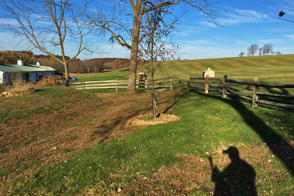 surveying new building plot